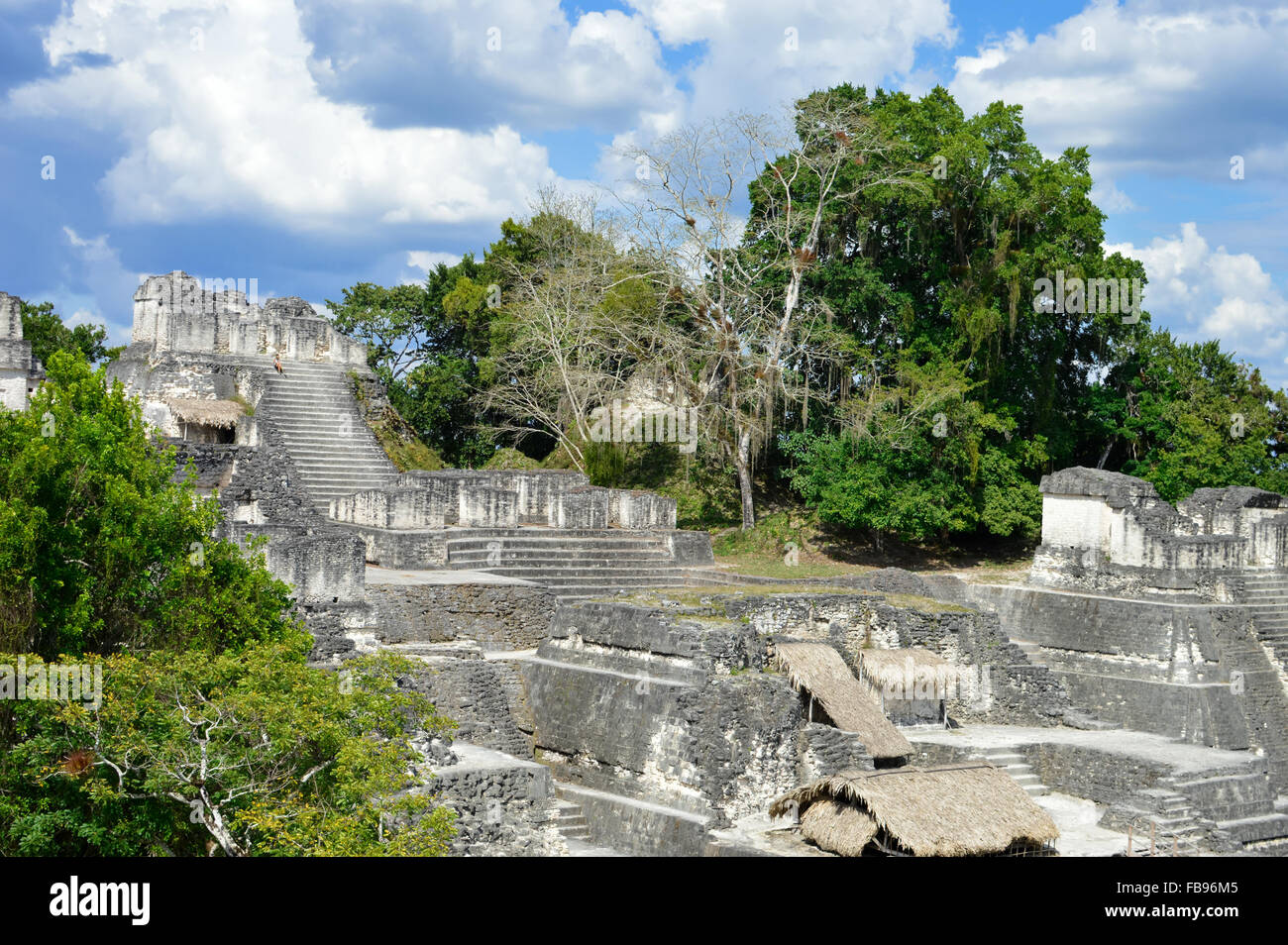 Acropole nord structures dans le parc national de Tikal et site archéologique, Guatemala Banque D'Images