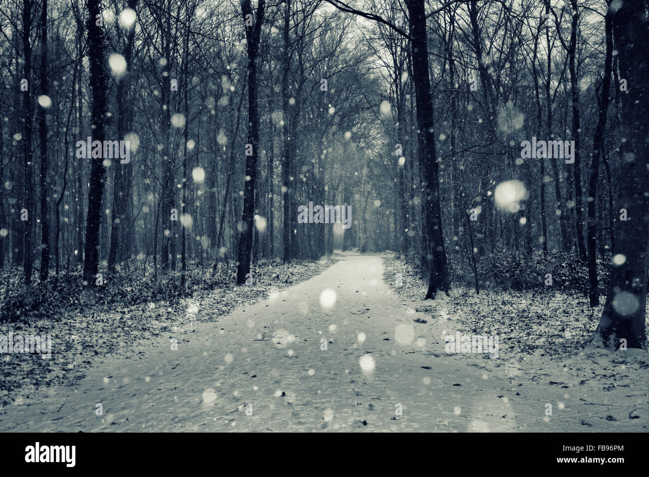 Première neige dans le parc en automne Banque D'Images