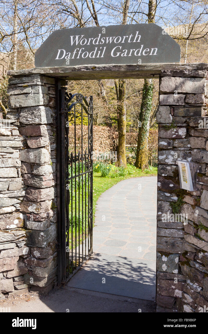 Entrée privée, jardin de la Jonquille Wordsworth Grasmere, Lake District, Cumbria, Angleterre Banque D'Images