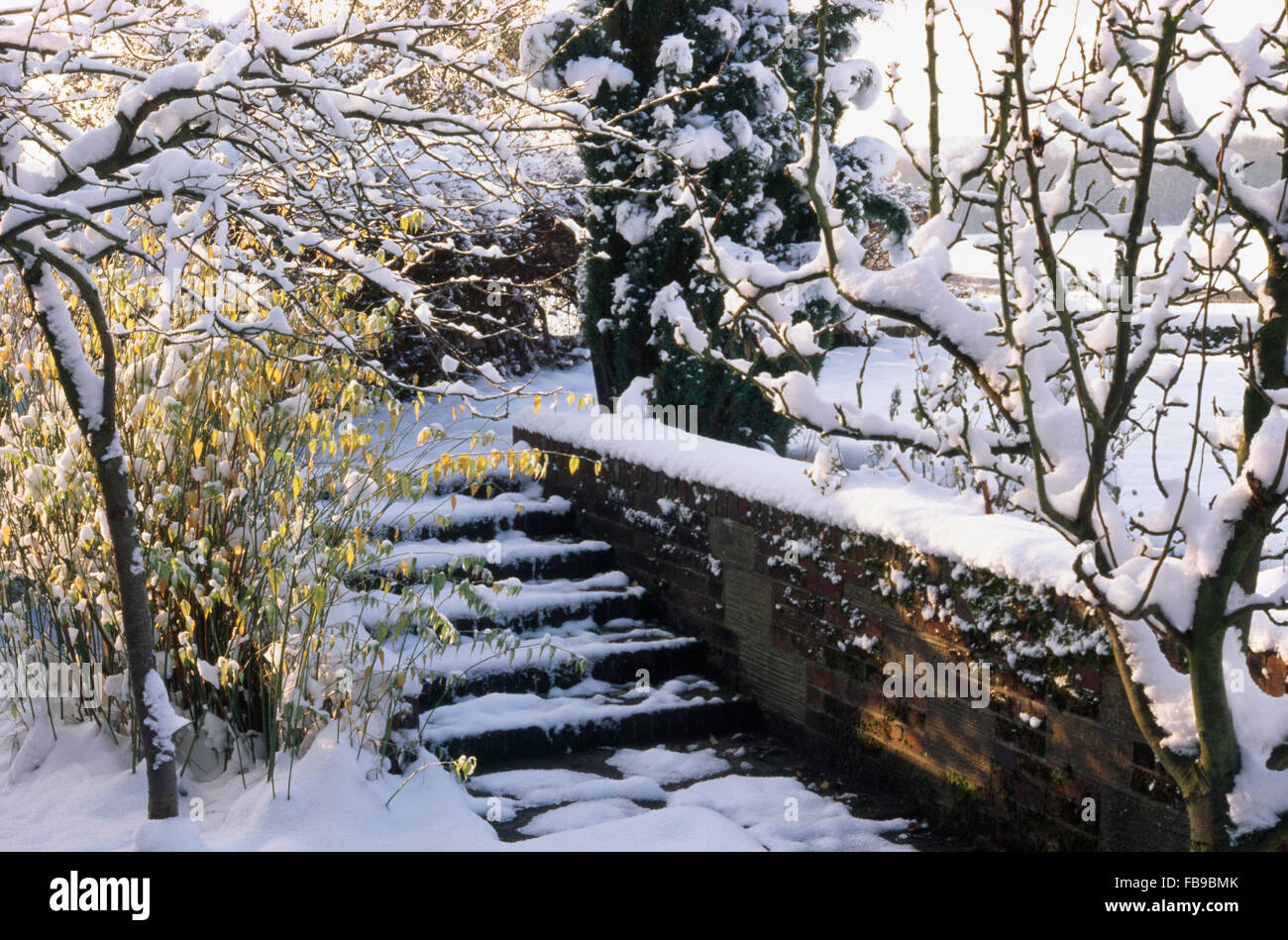 Petits arbres à côté des étapes de country garden en hiver Banque D'Images