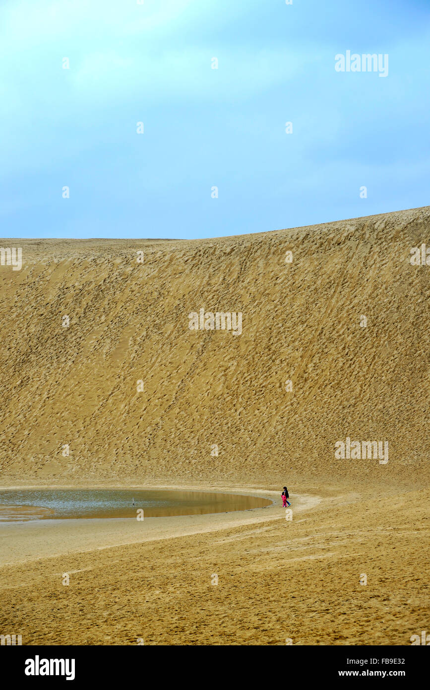 La grande dune de sable, le Japon Tottori Banque D'Images