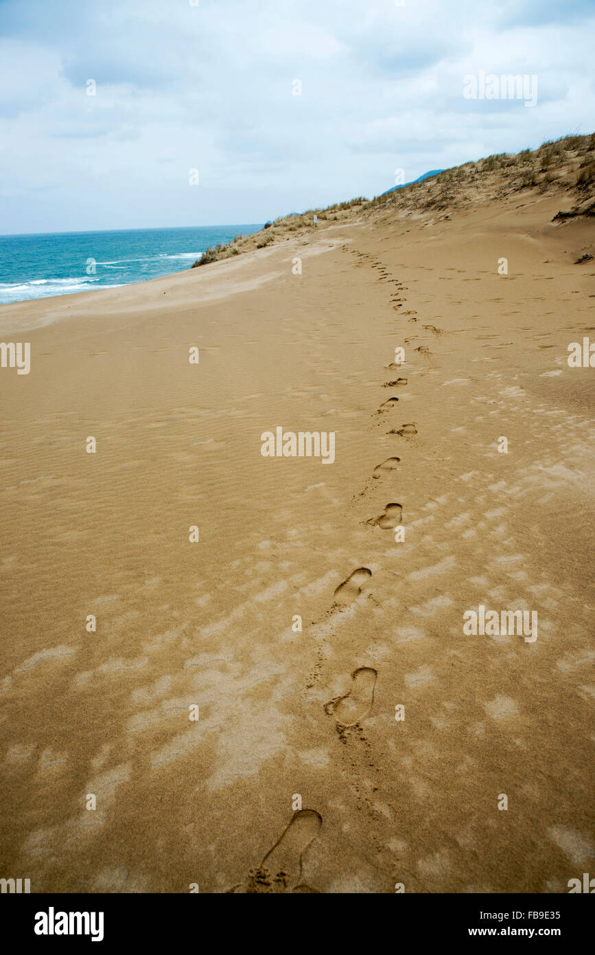 Des empreintes de pas, des dunes de sable de Tottori Banque D'Images