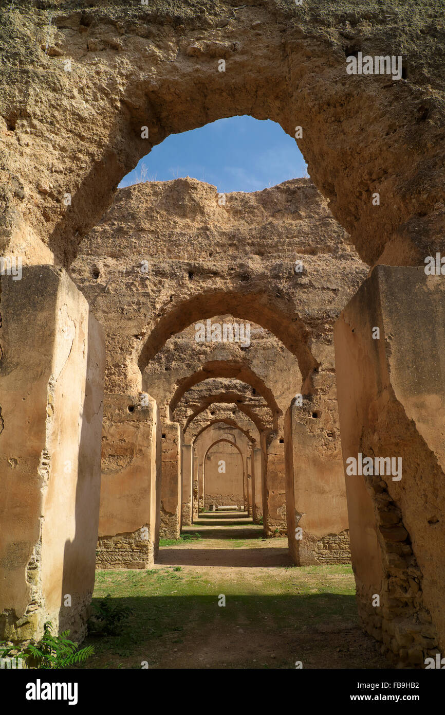 Anciennes écuries appartenant à l'ancien sultan Moulay Ismail, Meknès, Meknès-Tafilalet, Maroc Banque D'Images
