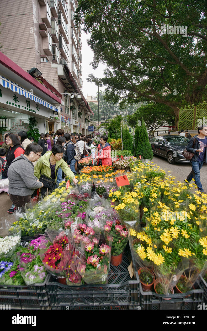 Coulisses de l'animation de marché aux fleurs à Mongkok, Hong Kong Banque D'Images