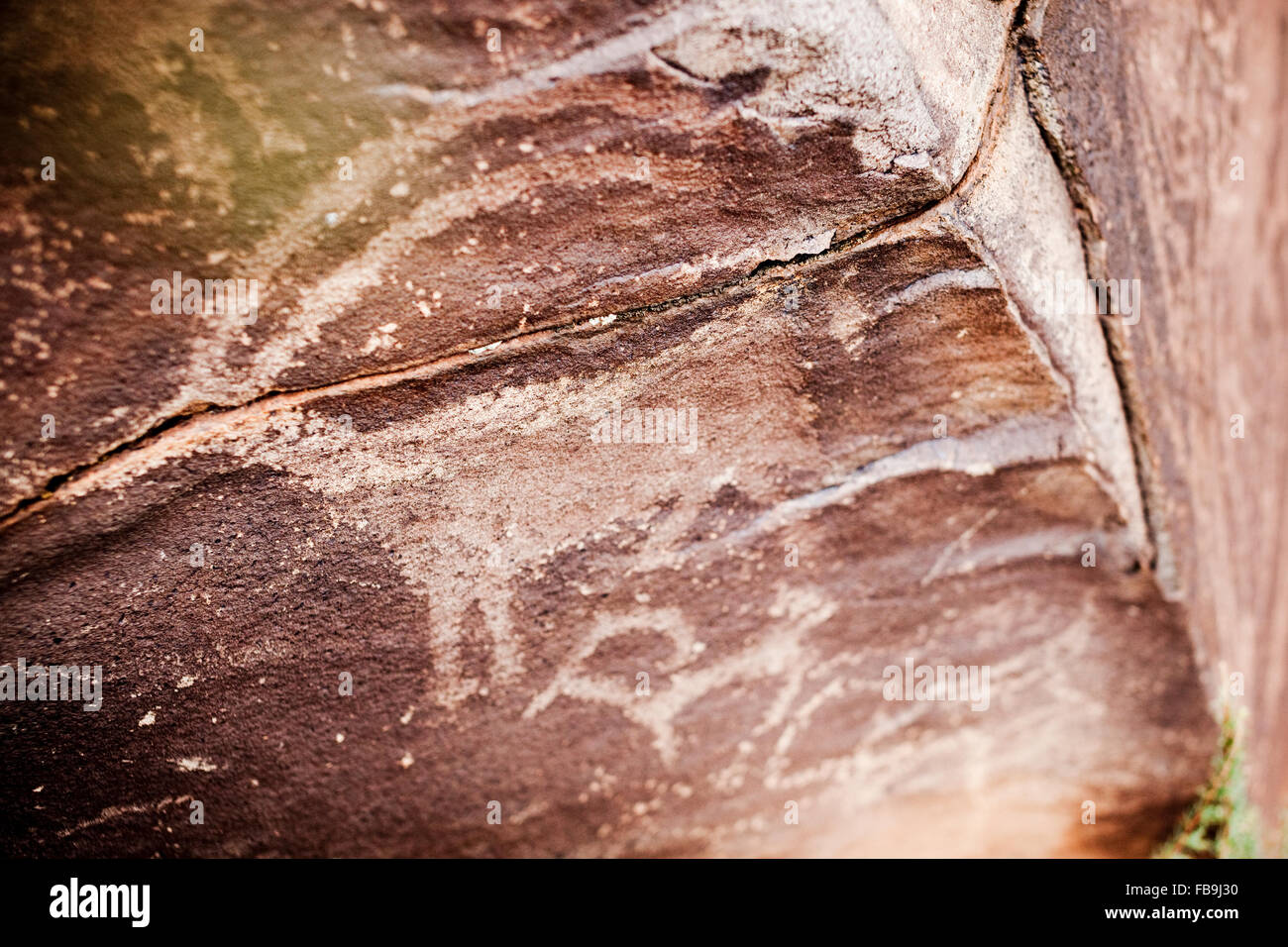 Petroglyph antique représentant un grand-duc d'animaux de la steppe dans le désert de Gobi, en Mongolie. Banque D'Images