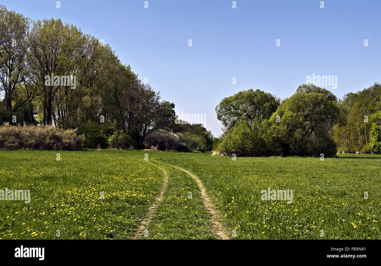 Printemps frais prairie avec arbres, pied-path et ciel clair près de Studenka dans Poodri CHKO Banque D'Images
