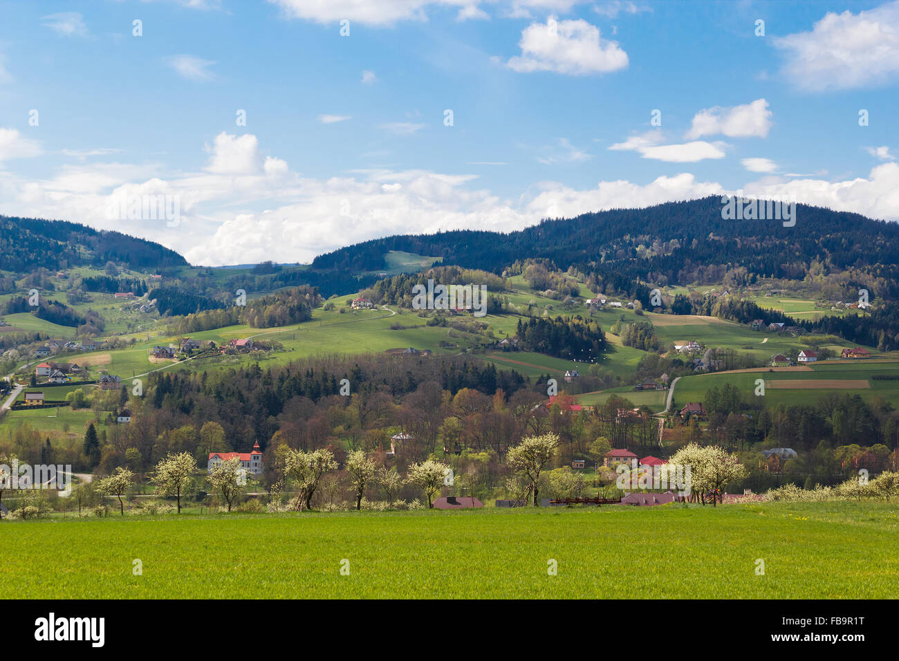 Montagnes Beskides île au printemps. Près de la ville de Szczecin, Pologne. Banque D'Images