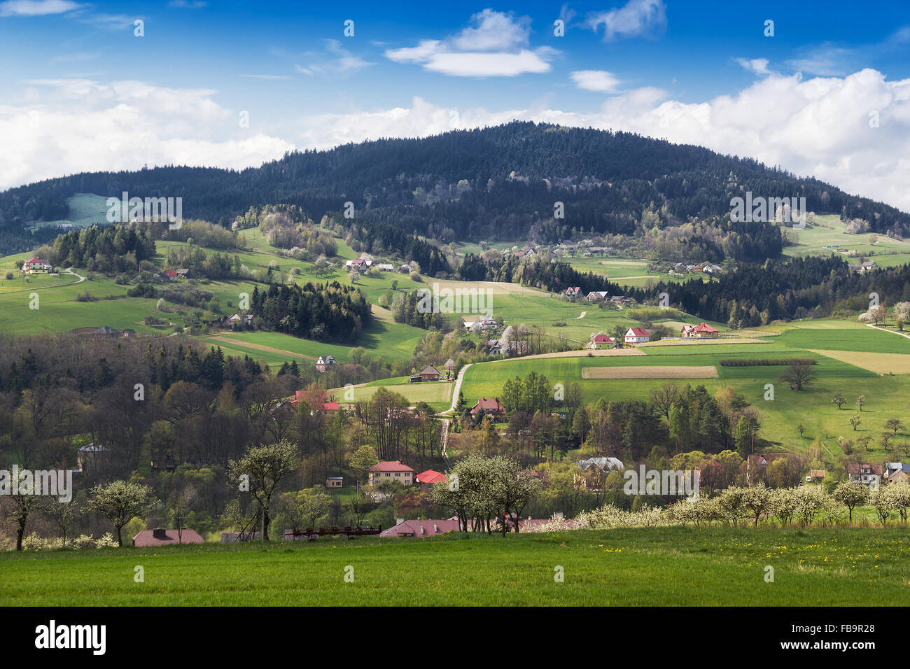 Montagnes Beskides île au printemps. Près de la ville de Szczecin, Pologne. Banque D'Images