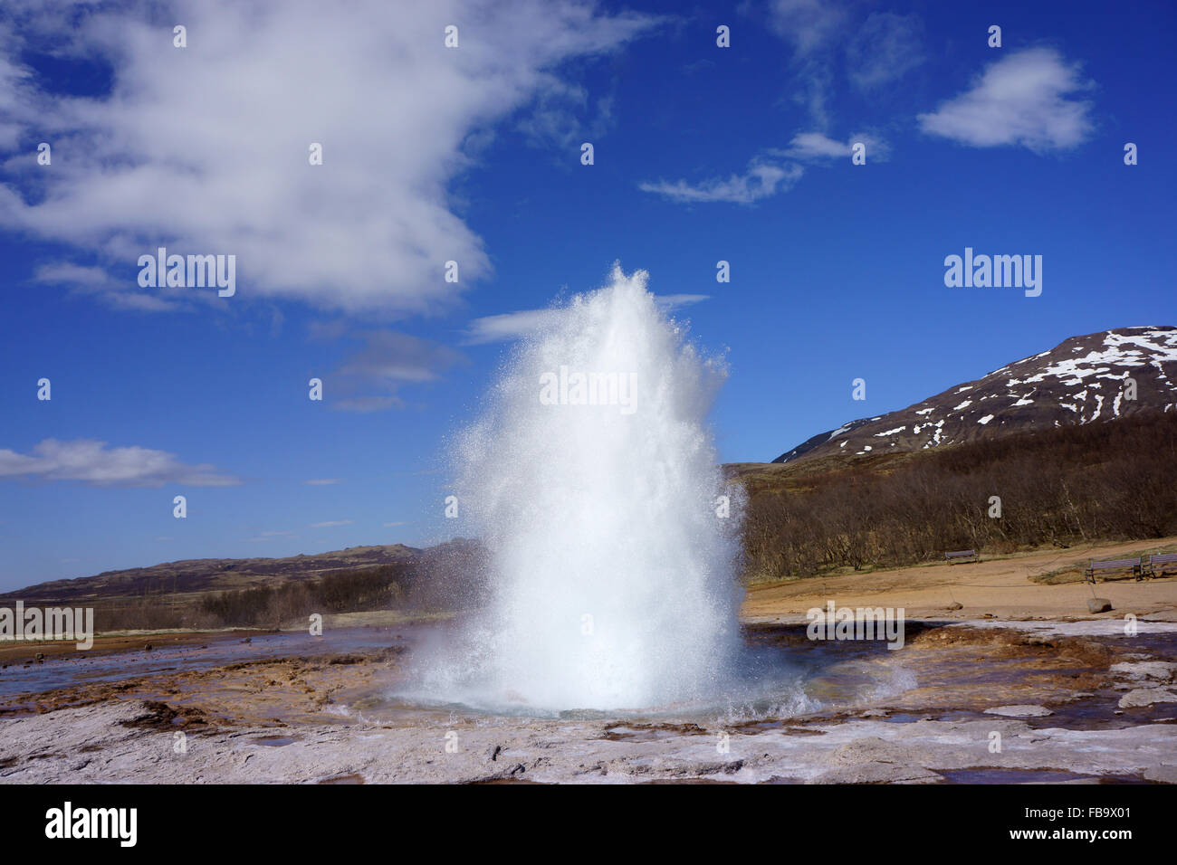 Strokkur Geysir, en éruption à Haukadalur Geysir, Islande Banque D'Images