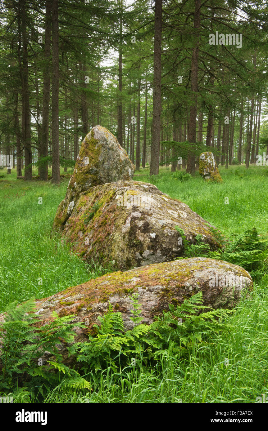 Neuf Stanes - près de Banchory, Aberdeenshire, Ecosse. Banque D'Images