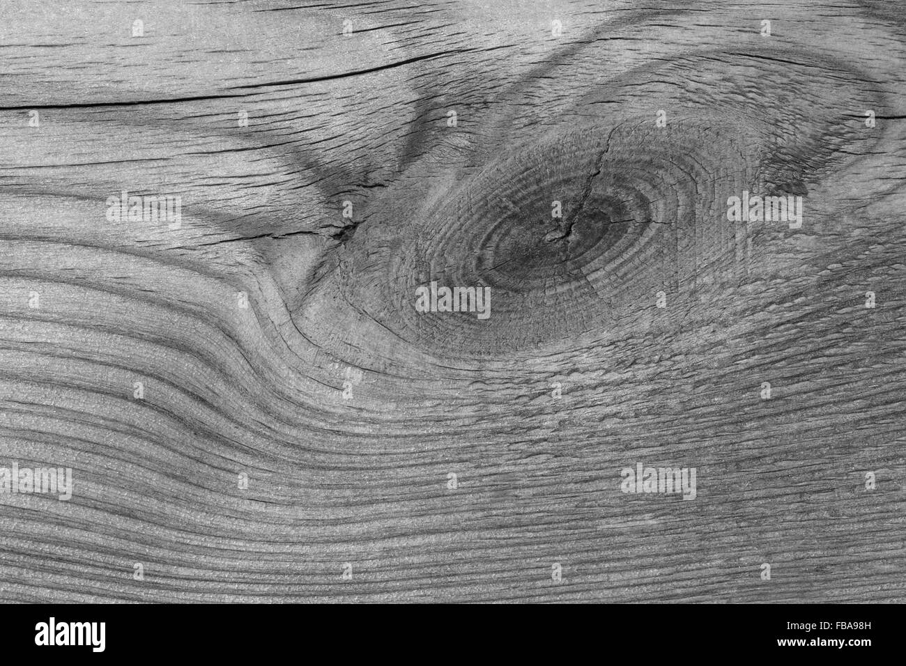 Photo en noir et blanc de planche de bois Banque D'Images