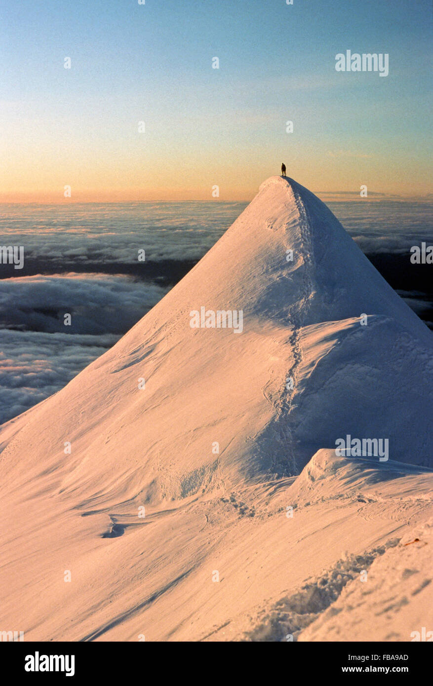 USA, Alaska, fer plat, Personne au-dessus de Mont McKinley enneigé Banque D'Images