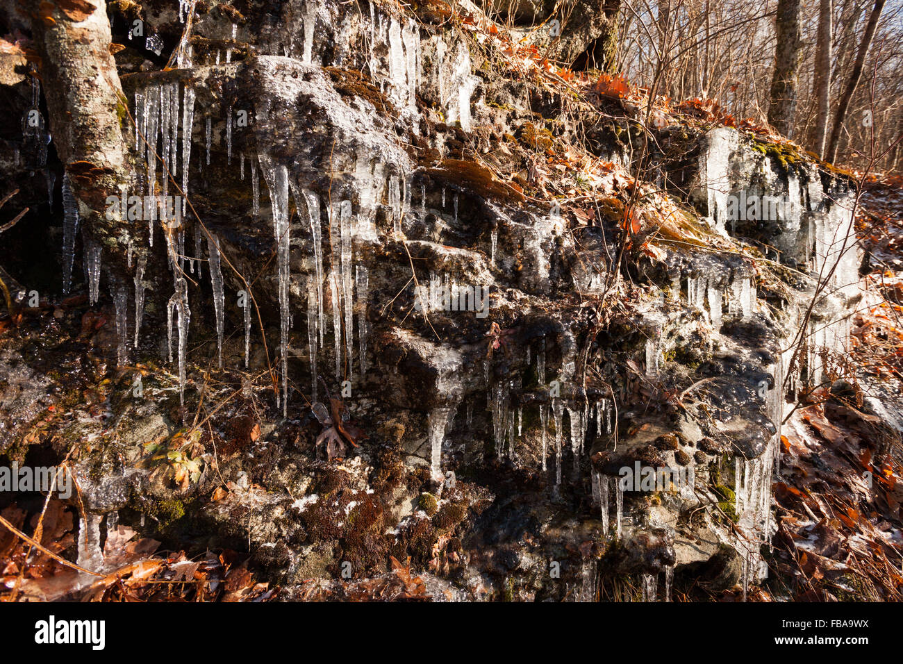 Les glaçons sur un sentier de randonnée dans les montagnes de Géorgie du nord Banque D'Images