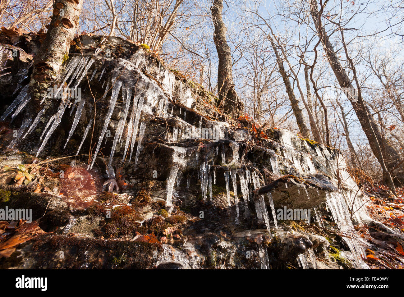Les glaçons sur un sentier de randonnée dans les montagnes de Géorgie du nord Banque D'Images