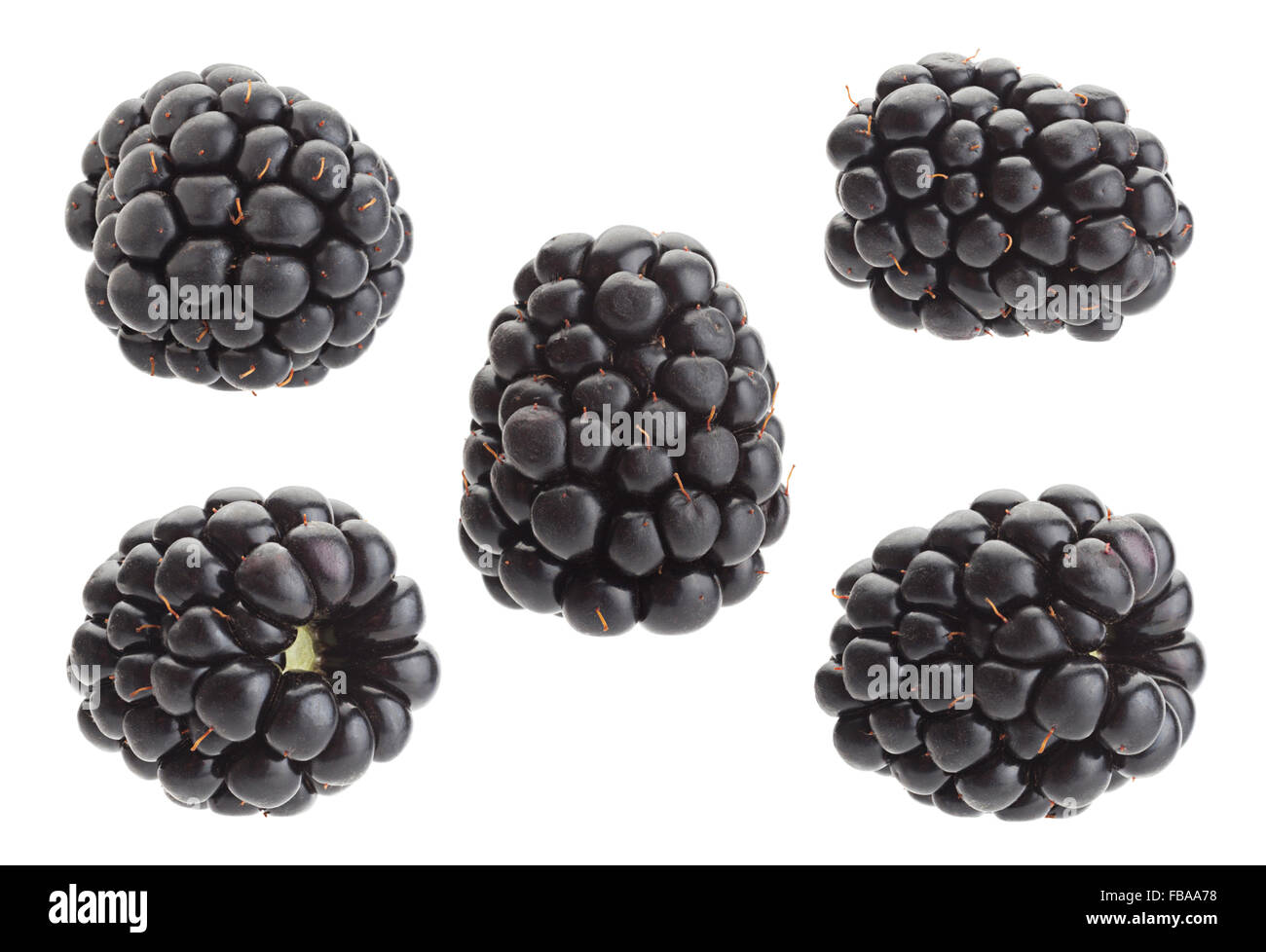 Mise à fruit Blackberry libre isolated on white Banque D'Images