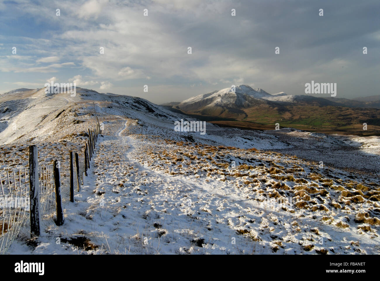 Collines recouvertes de neige près de Dolgellau, Pays de Galles, Royaume-Uni. Vues autour de Cader Idris. Banque D'Images