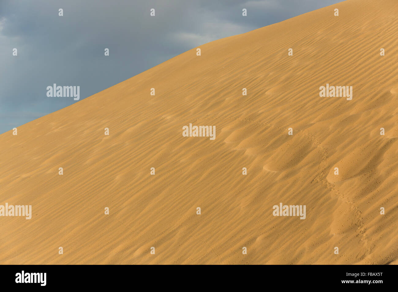 Le chant des dunes dans le désert de Gobi, en Mongolie. Banque D'Images
