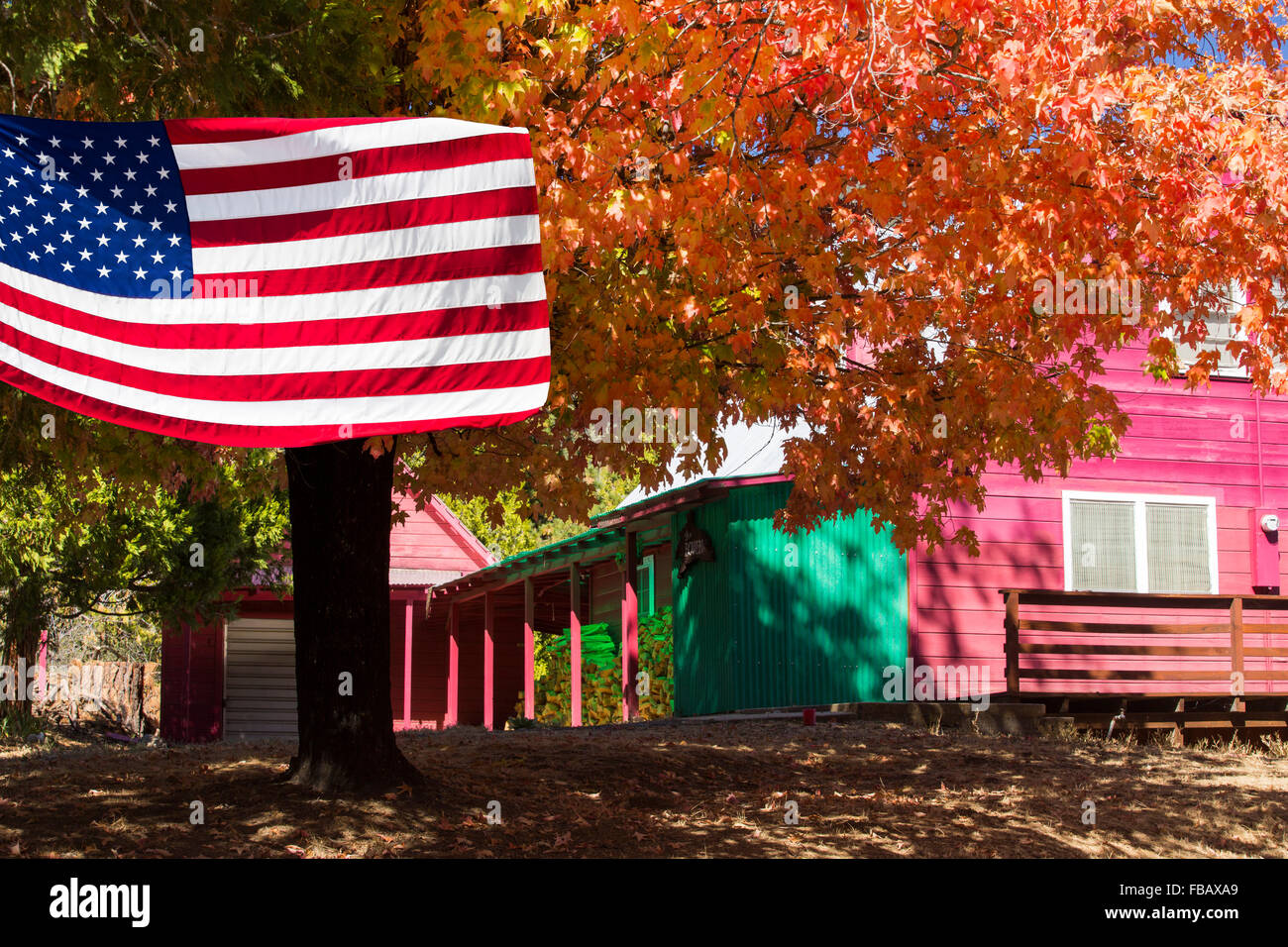 Couleurs d'automne autour d'une maison près de springville, Tule River, Californie, USA. Banque D'Images