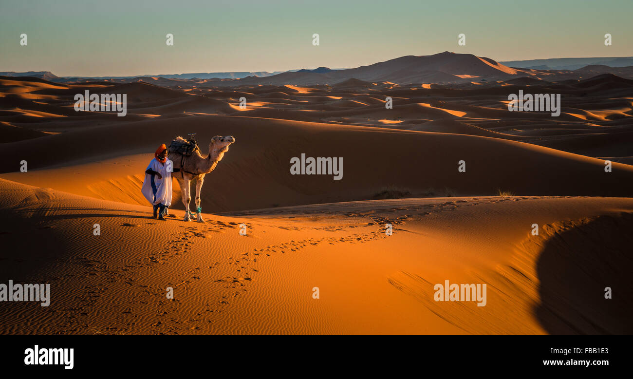 L'homme et le chameau, Erg Chebbi Maroc Banque D'Images