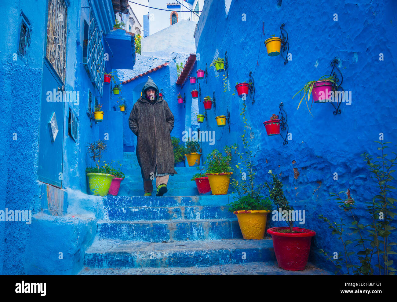Les pots de fleurs, Maroc Chefchaouen Banque D'Images