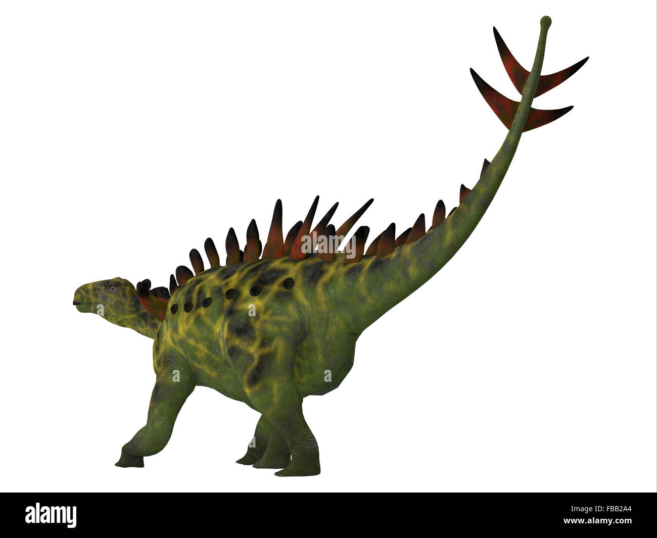 Huayangosaurus Banque de photographies et d'images à haute résolution -  Alamy