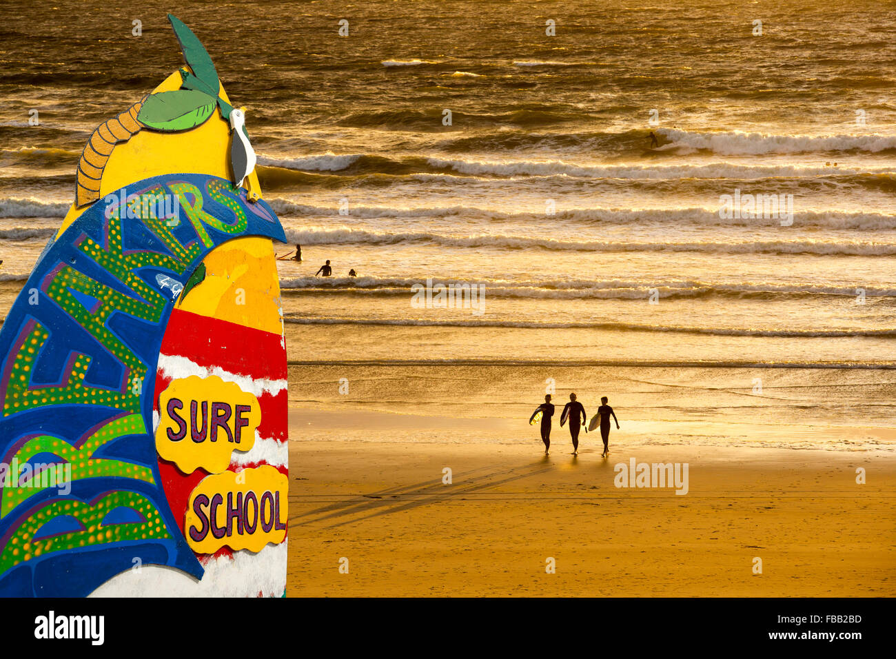 Surfeurs de Polzeath au coucher du soleil, Cornwall, UK. Banque D'Images