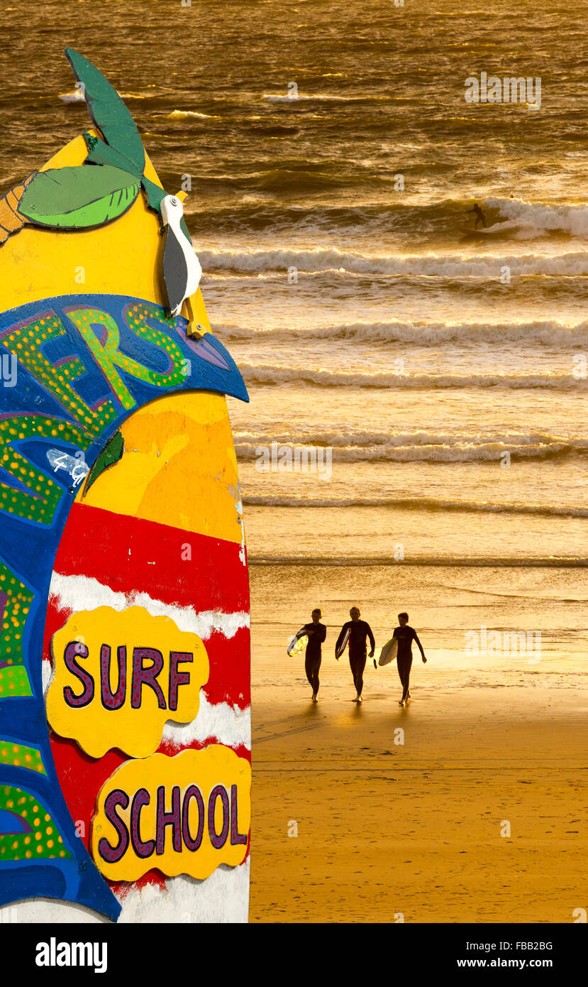 Surfeurs de Polzeath au coucher du soleil, Cornwall, UK. Banque D'Images