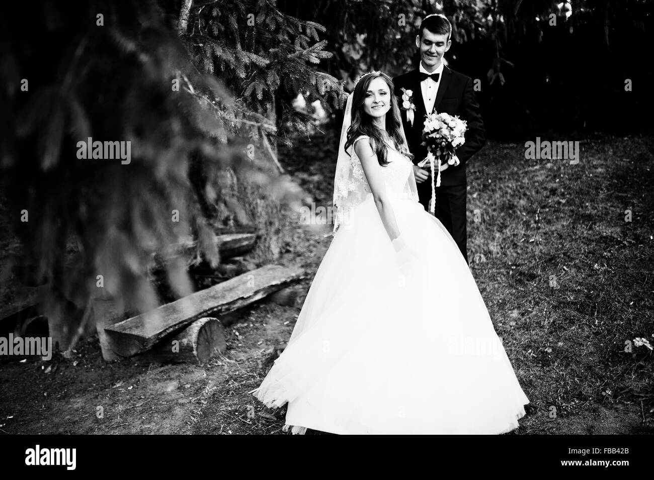 Jeune couple de mariage belle au bois Banque D'Images