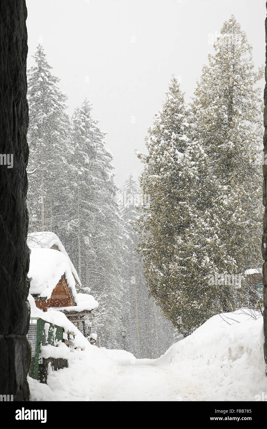 'Let it Snow' - Neige dans Krimml, Autriche Banque D'Images