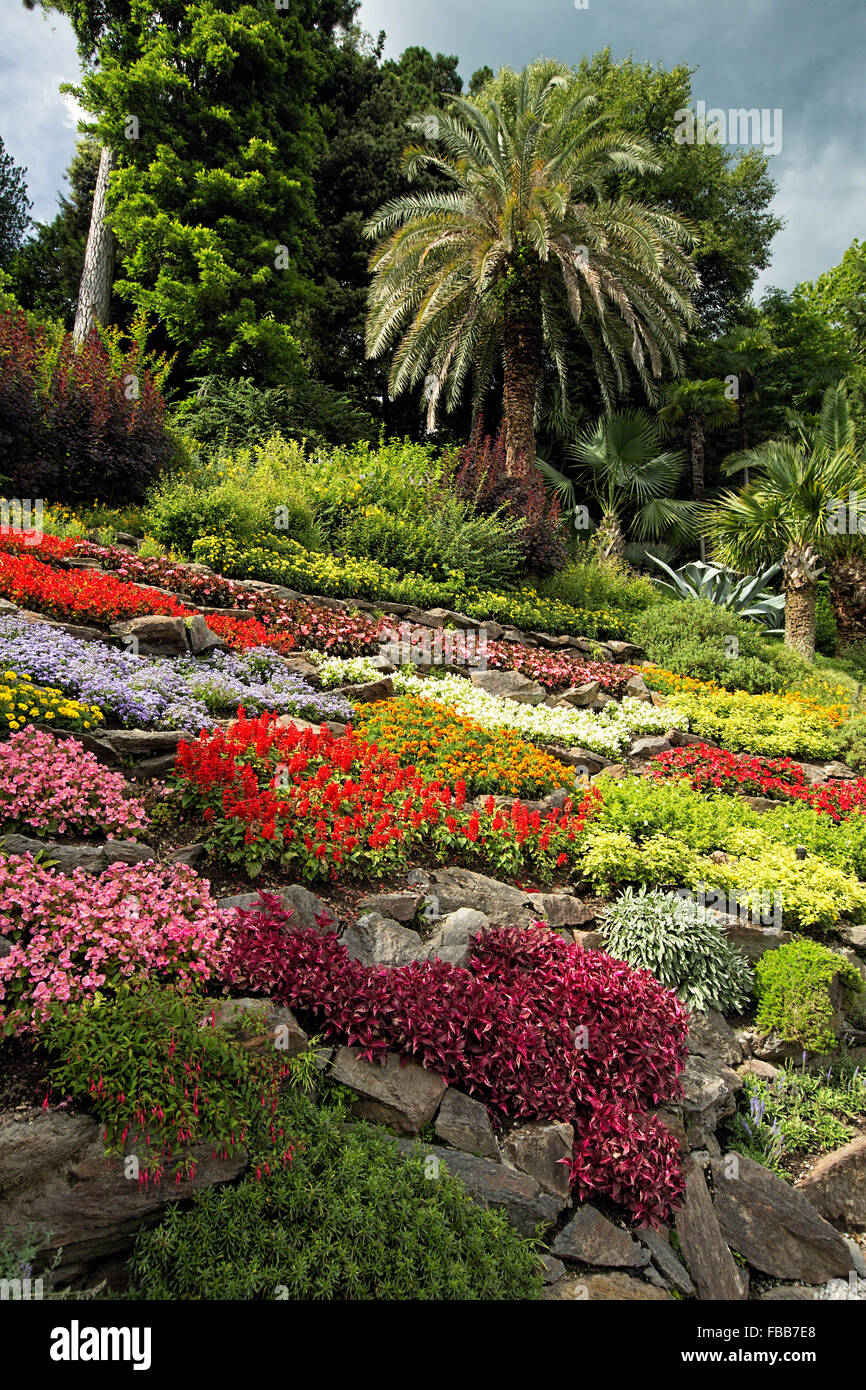 Low Angle View Of A Rock Colore Jardin Villa Carlotta Tremezzo Lac De Come Italie Photo Stock Alamy