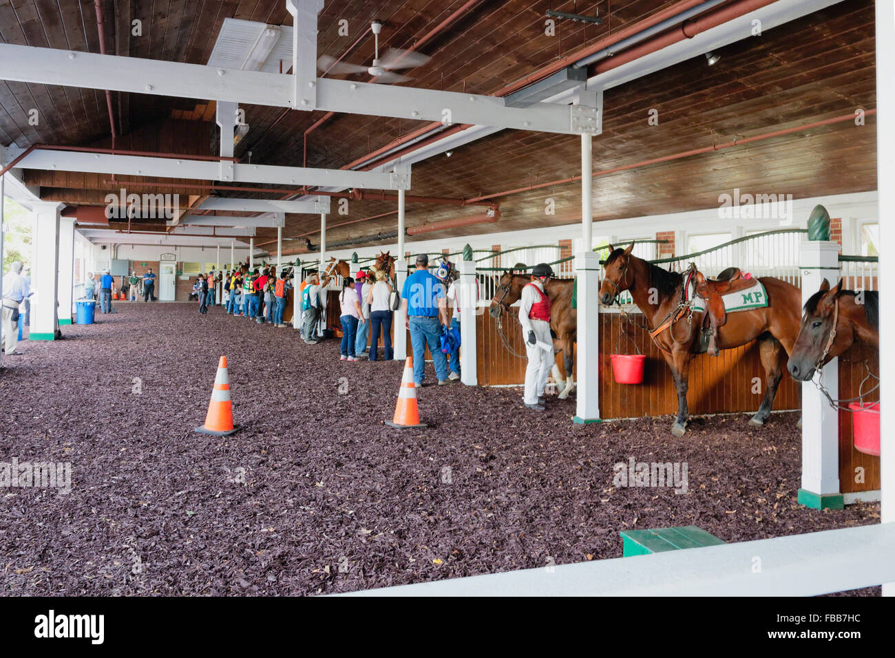 Chevaux de course dans une étable en préparation pour une course, Monmouth Park Race Track, Oceanport, New Jersey Banque D'Images