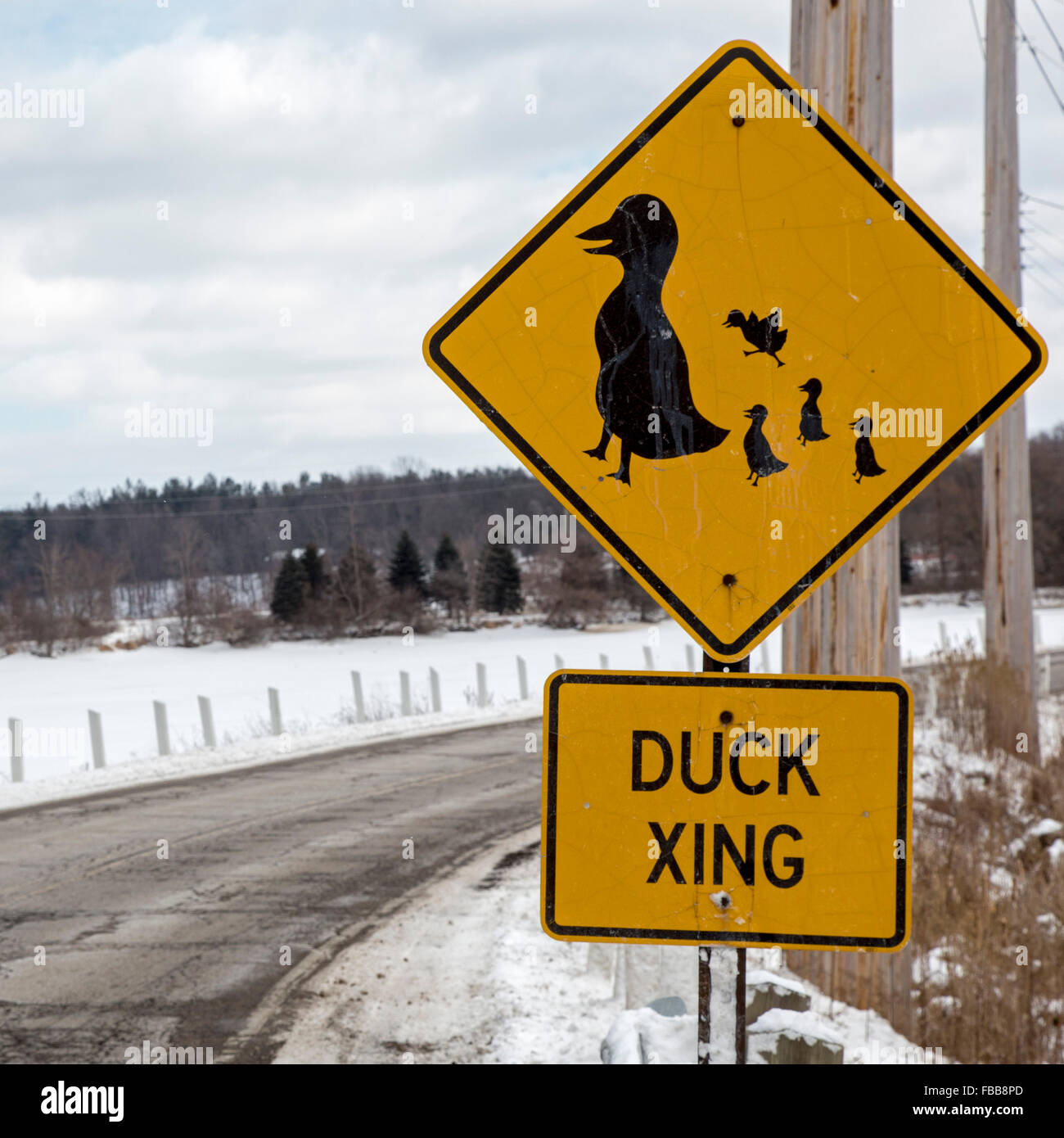Columbiaville, Michigan - un signe met en garde de canards traversent la route. Banque D'Images