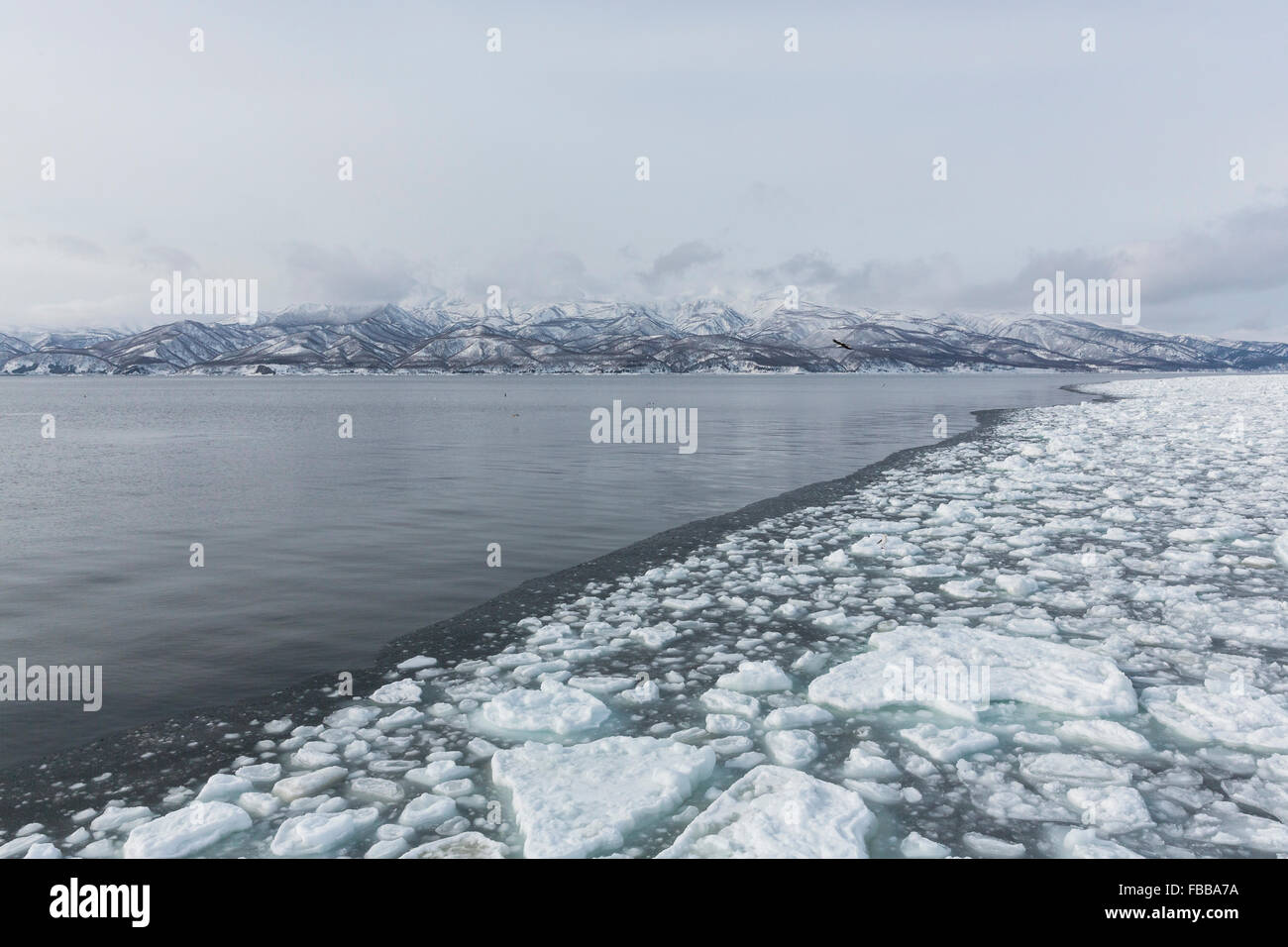 Les glaces à la dérive,Rausu,Péninsule de Shiretoko, Hokkaido, Japon Banque D'Images