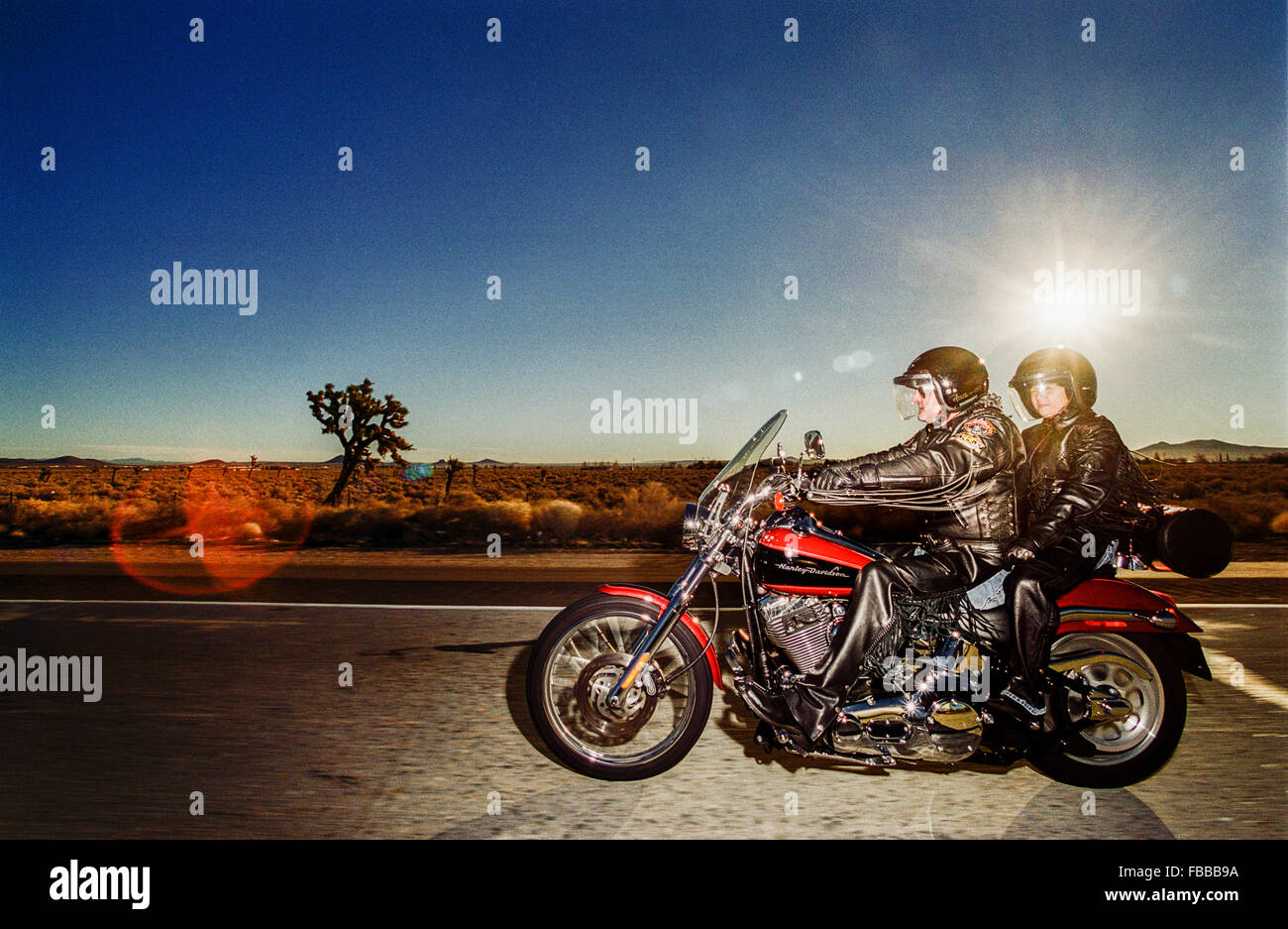 100e anniversaire de la moto harley davidson Banque de photographies et ...