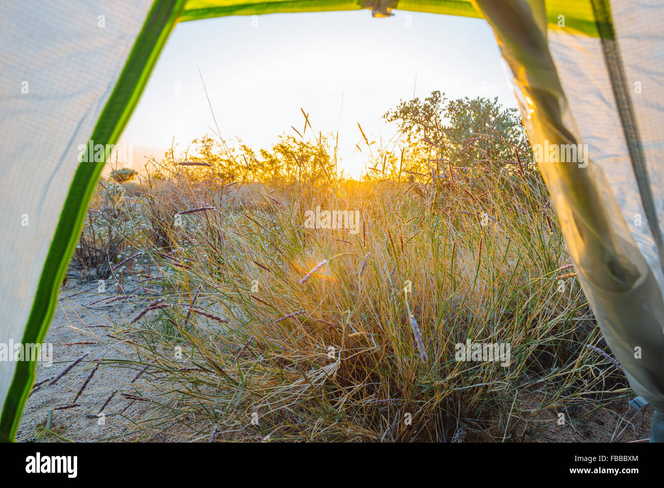 Camping le long du sentier Scout dans le Wonderland of Rocks, Joshua Tree National Park, Californie Banque D'Images