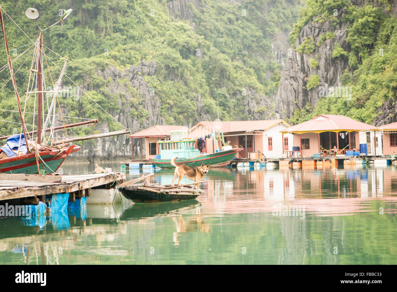 Village de pêcheurs flottant, Halong Bay, Vietnam Banque D'Images