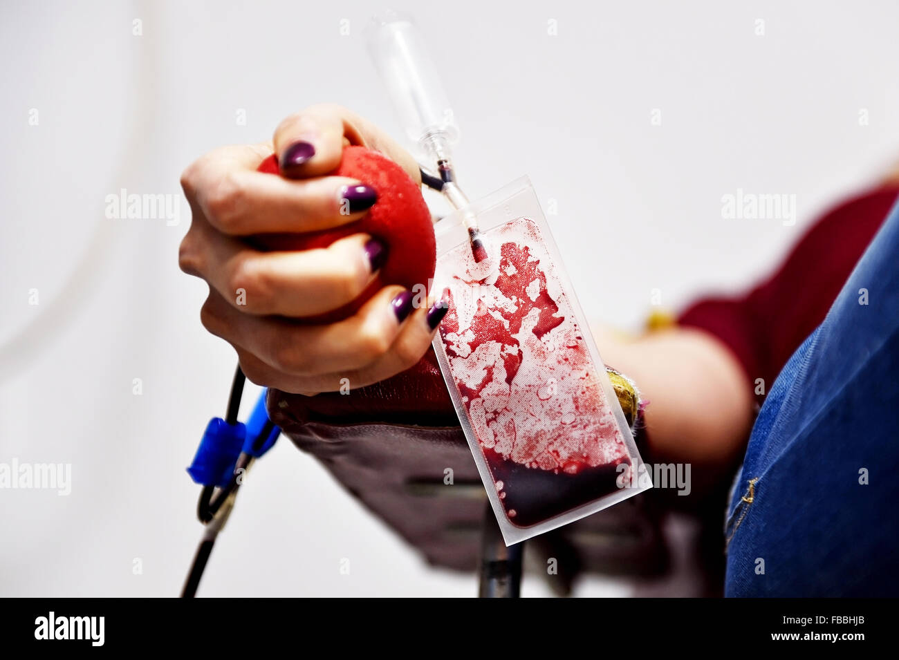 Détail de la main d'un don de sang, serrant une balle médicale et une poche de sang en plastique dans un hôpital Banque D'Images