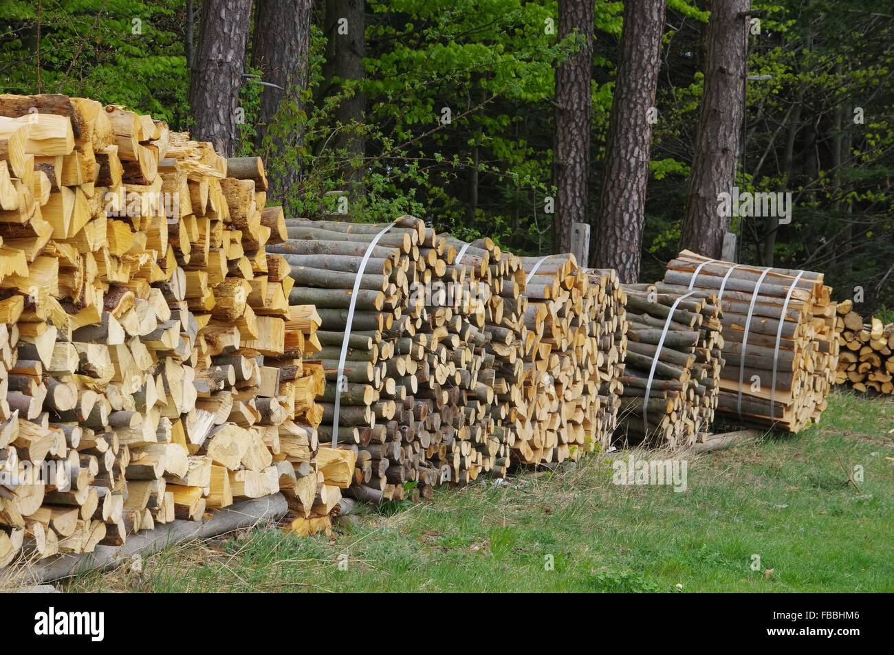 Holzstapel - pile de bois 48 Banque D'Images