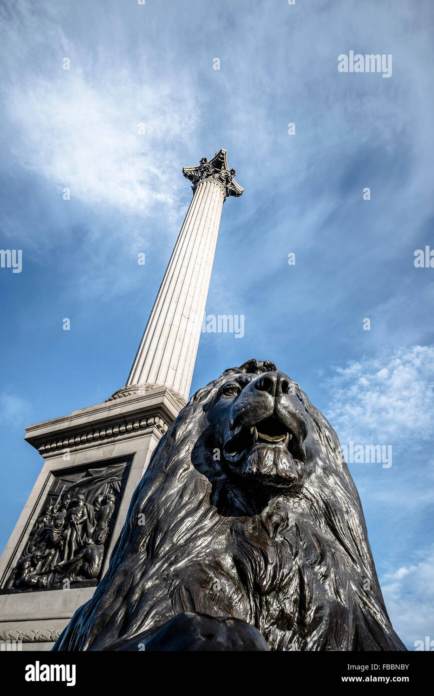 Statue de lion et la colonne Nelson, Trafalgar Square Banque D'Images