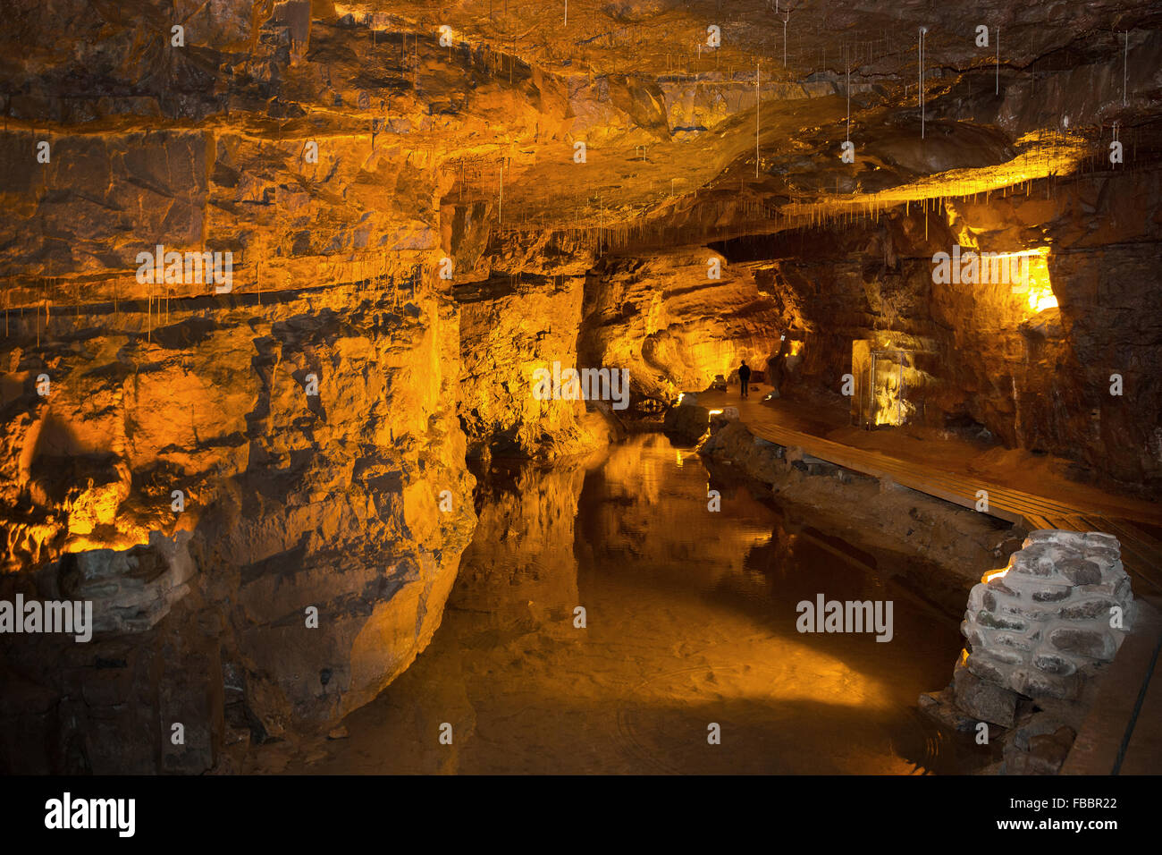 Le Centre National de grottes, au Pays de Galles Banque D'Images
