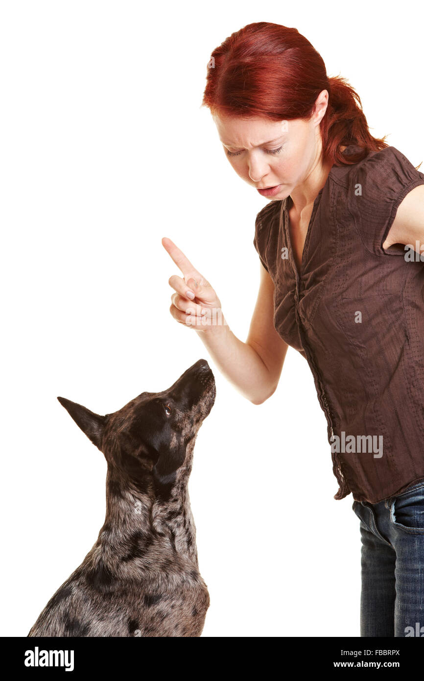 Femme réprimande son chien avec son index Banque D'Images