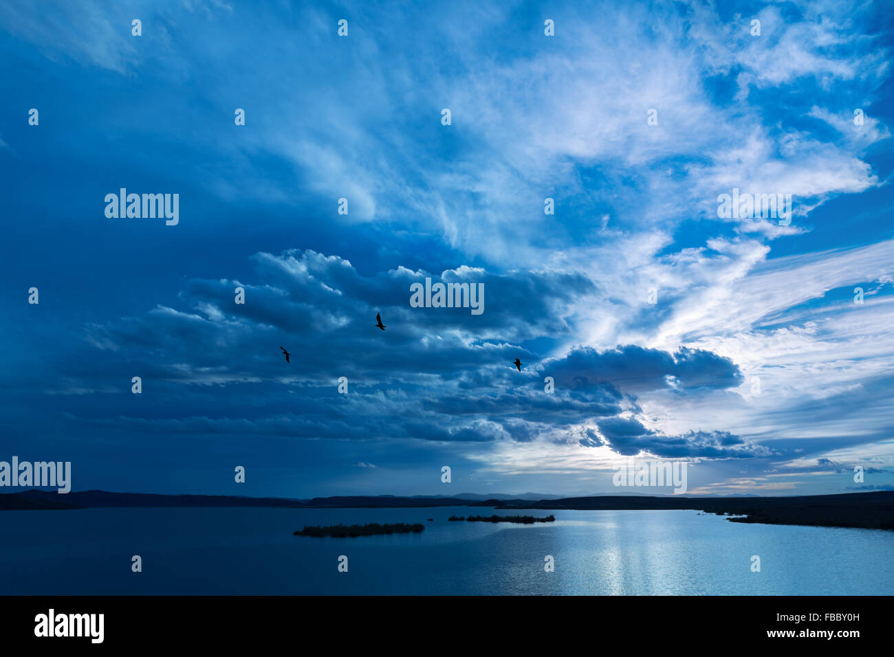 Les oiseaux voleront contre dark ciel nuageux au-dessus de l'eau. Banque D'Images