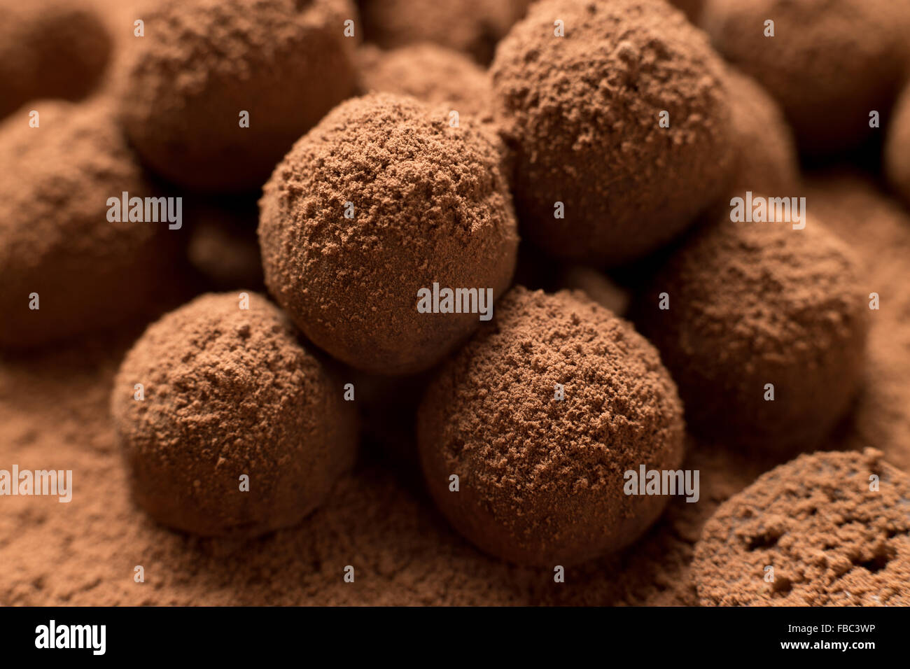 Close up of group composé de délicieuses truffes au chocolat saupoudré de cacao en poudre. Profondeur de champ Banque D'Images