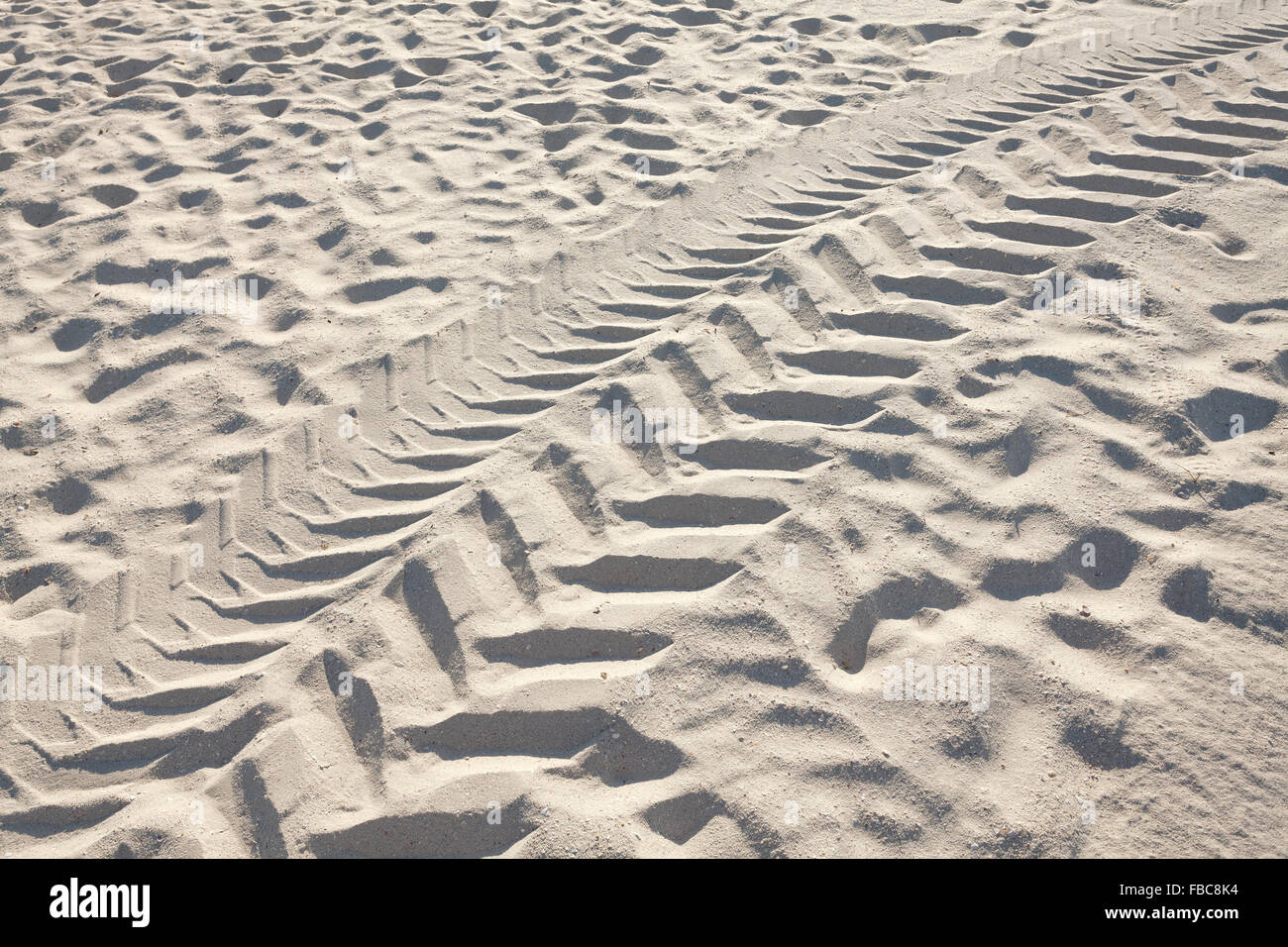 Les voies d'un véhicule des pneus sur le sable. Banque D'Images