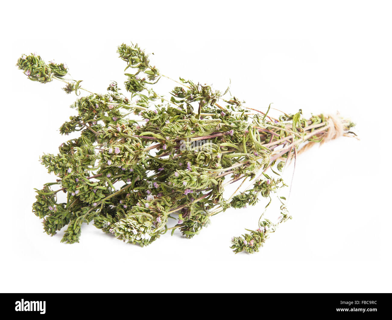 Le thym herbe aromatique culinaire Bunch Isolated Banque D'Images