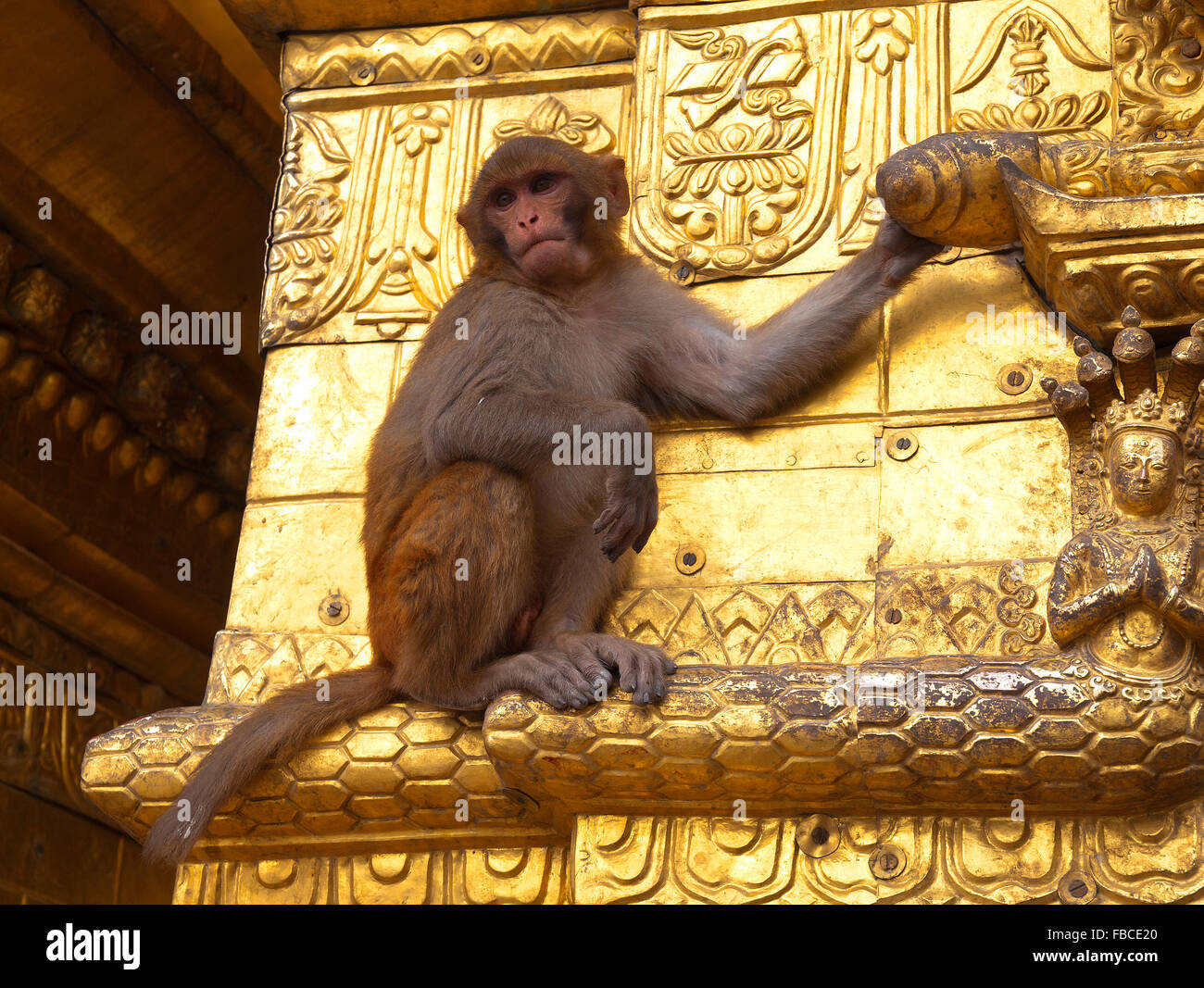 Wayambhunath "temple des singes" Katmandou Banque D'Images