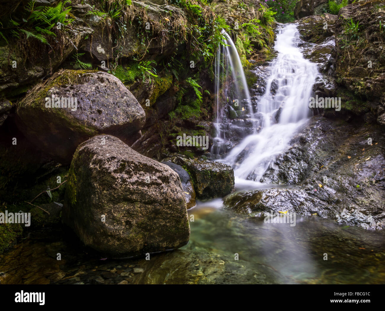 Une petite cascade se déversant dans une piscine dans les rochers en forêt Donard, comté de Down, en Irlande. Banque D'Images