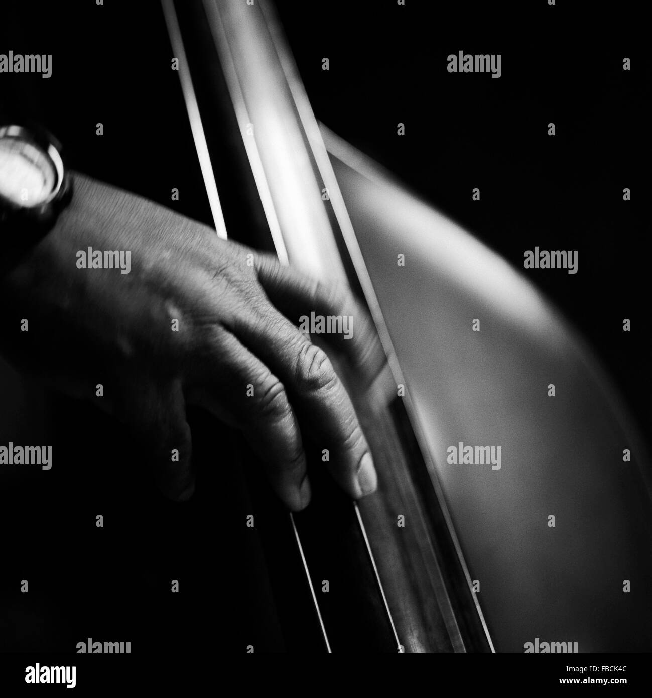 Les doigts jouent un double bass en close up detail Banque D'Images