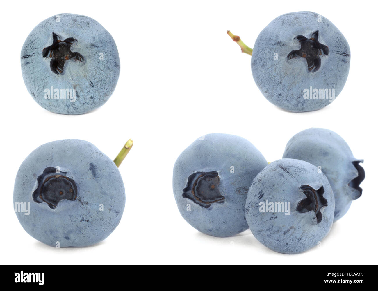 Gros plan de récolte de fruits bleuets isolated on white Banque D'Images