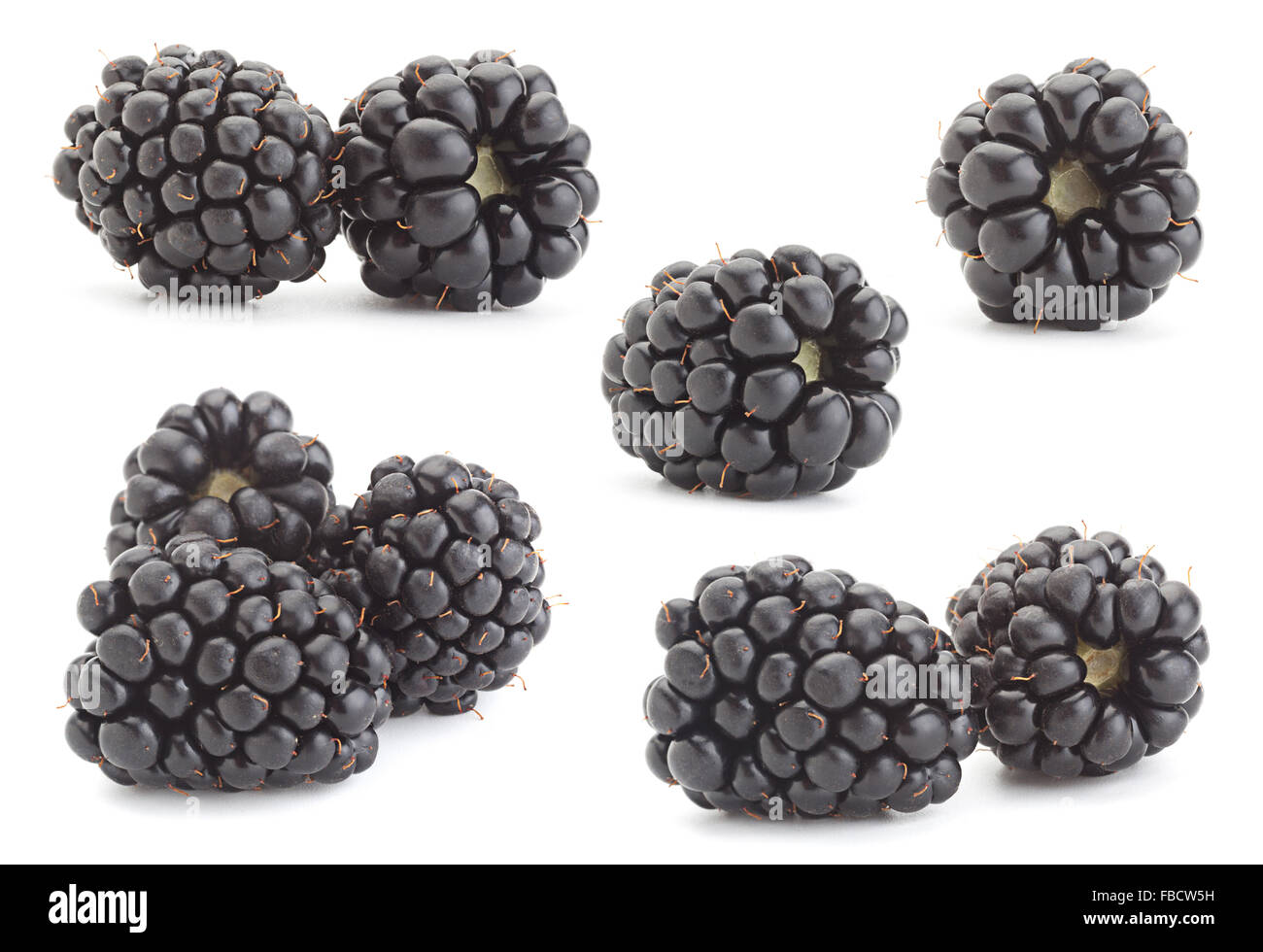 Mise à fruit Blackberry libre isolated on white Banque D'Images